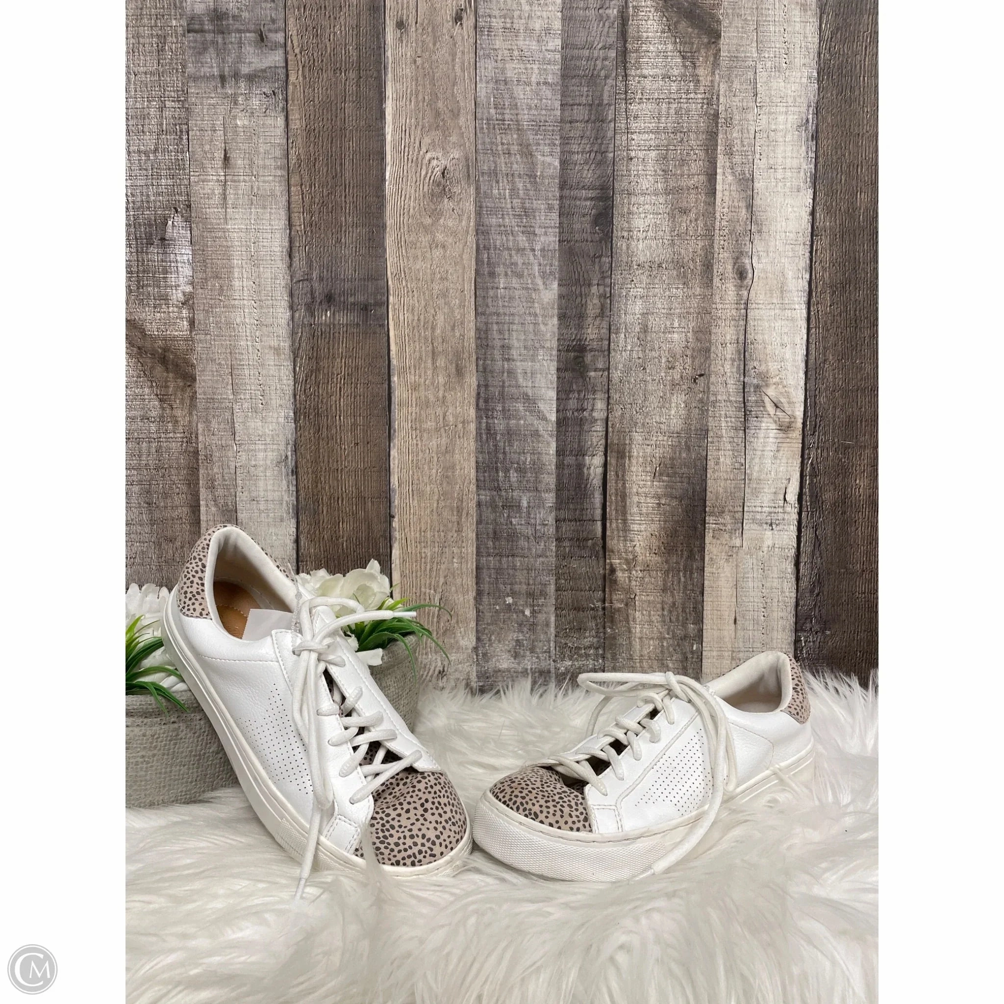 Elevated durability Flexibility Support Shoes Sneakers By Universal Thread In Animal Print, Size: 7