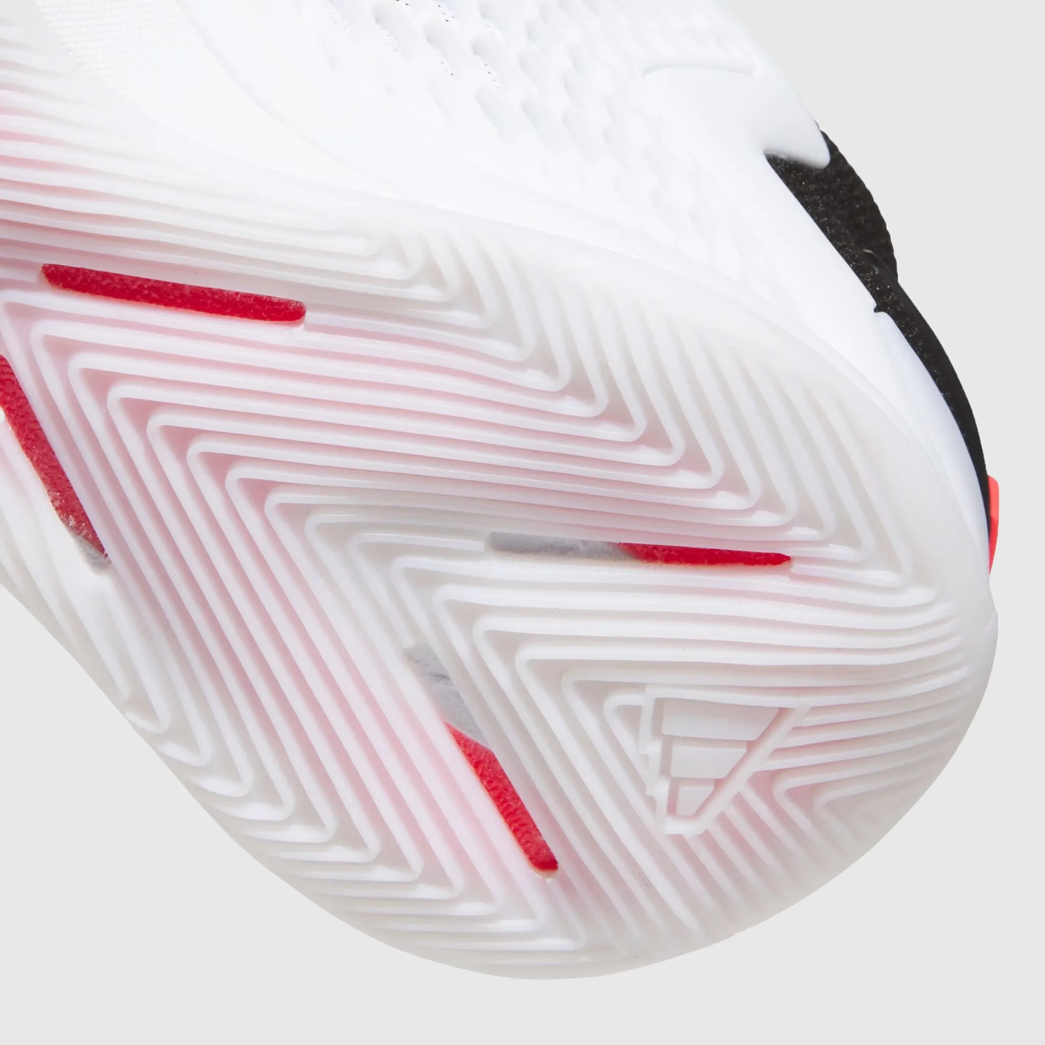 A.E. 1 LOW "BEST OF ADI" year - round use running in the park