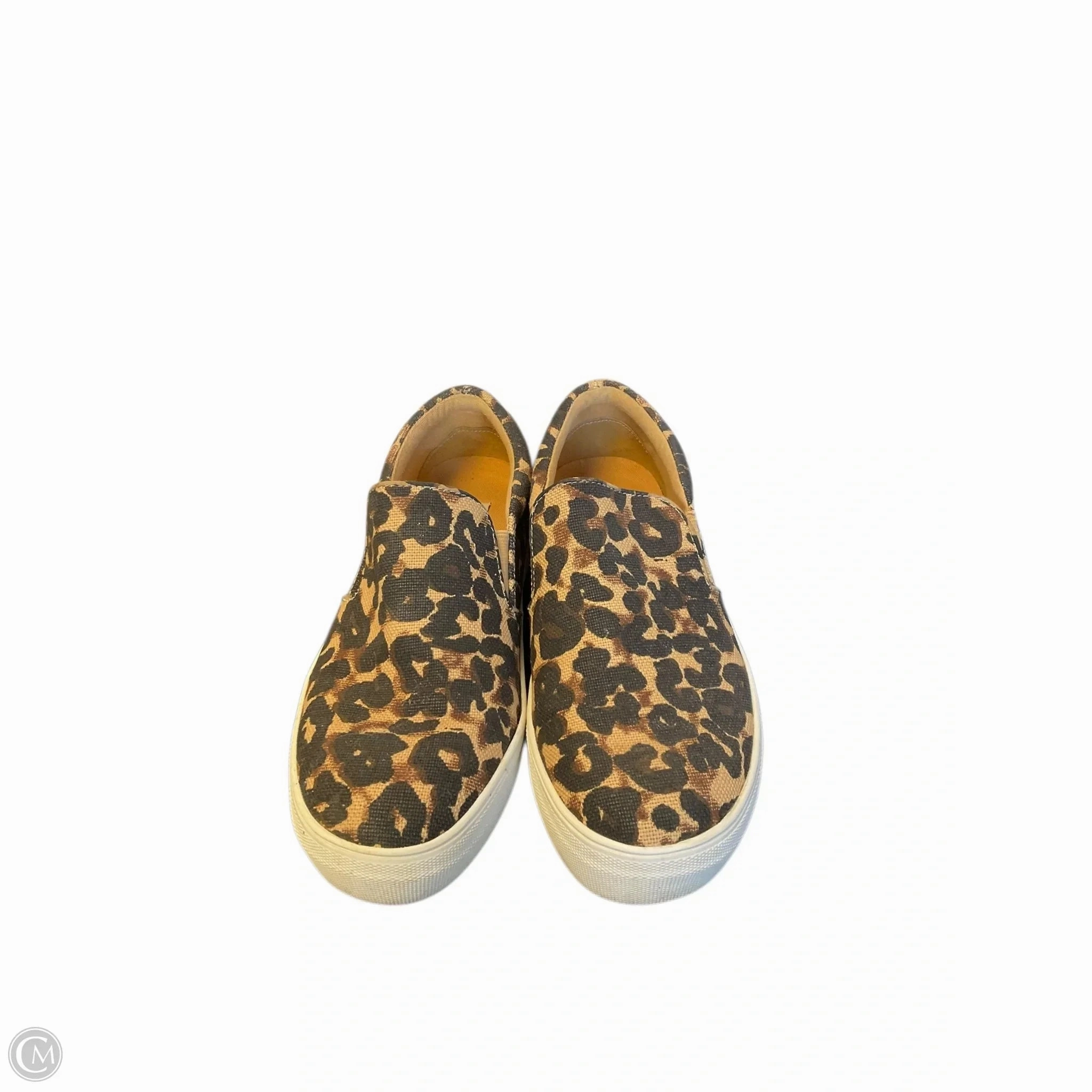 Shoes Sneakers By Steve Madden In Animal Print, Size: 8.5 Speed Flex