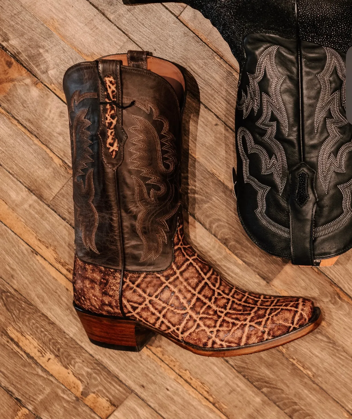 Black Jack Elephant Dirty Tobac Northern Resident Flexible Movement