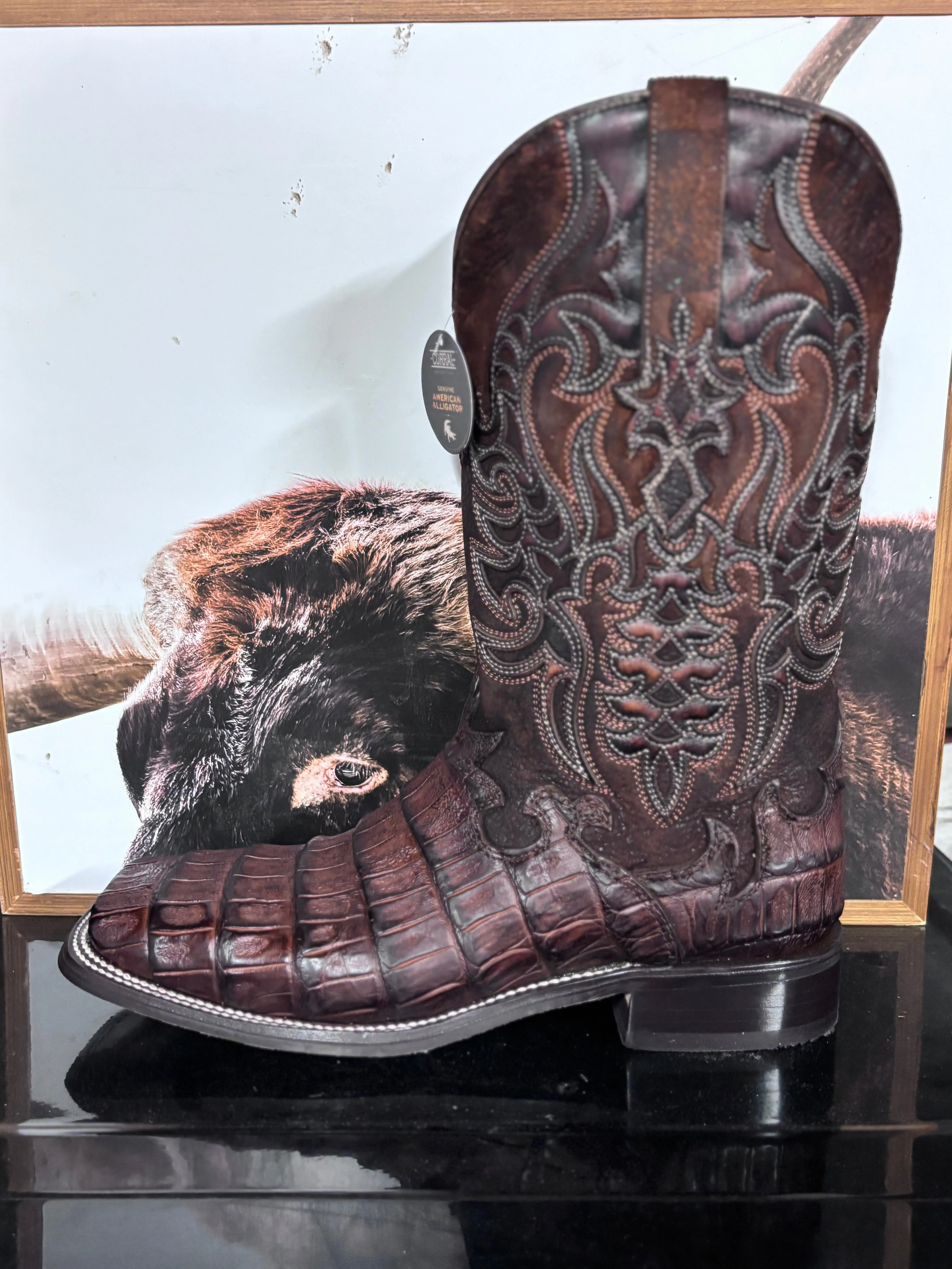 Corral Men's Boots Genuine Alligator Cushioned Step Snowy Path