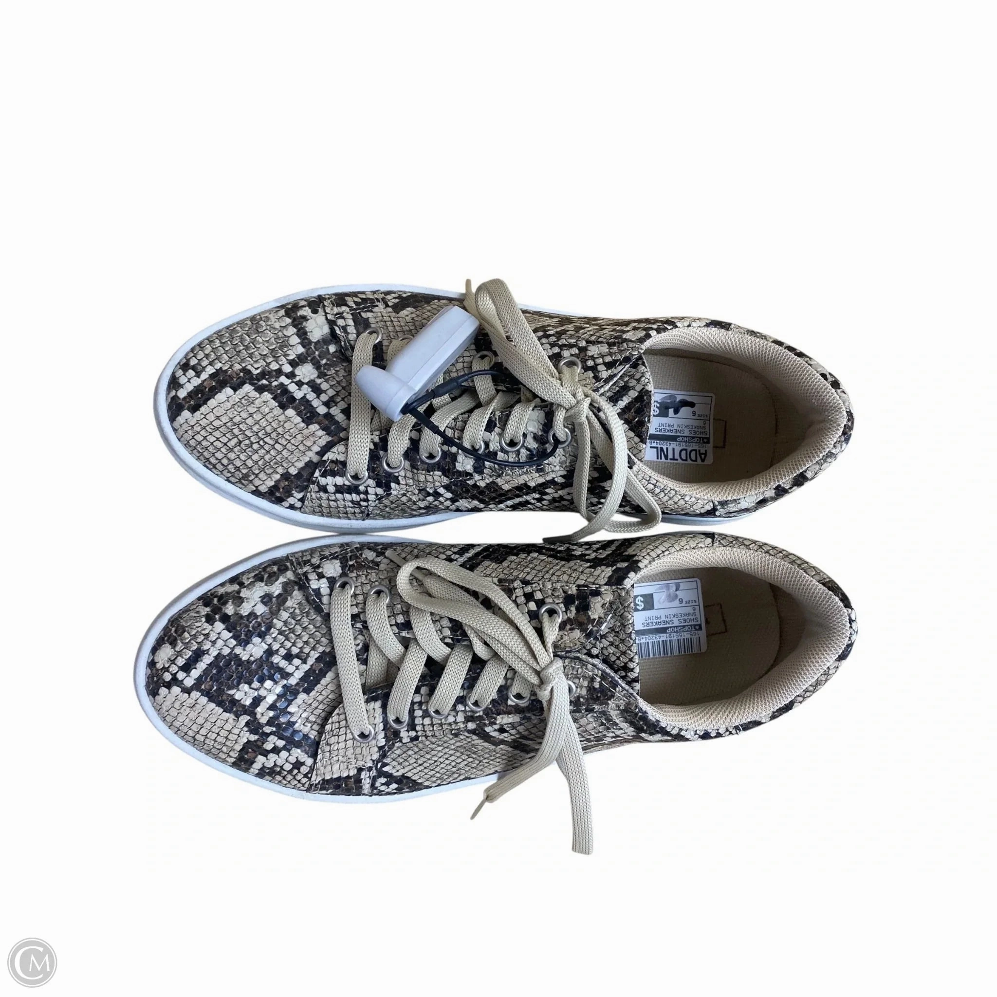 Modern Aesthetic Shoes Sneakers By Topshop In Snakeskin Print, Size: 6