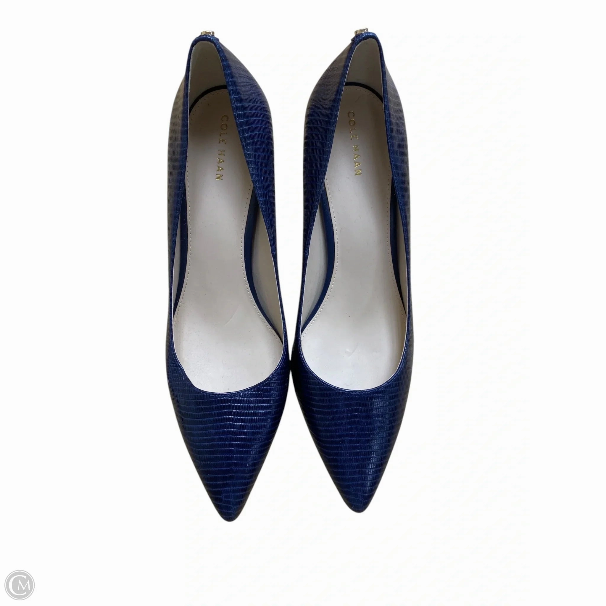 Shoes Heels Stiletto By Cole-haan In Blue, Size: 11 Sophisticated Sandals