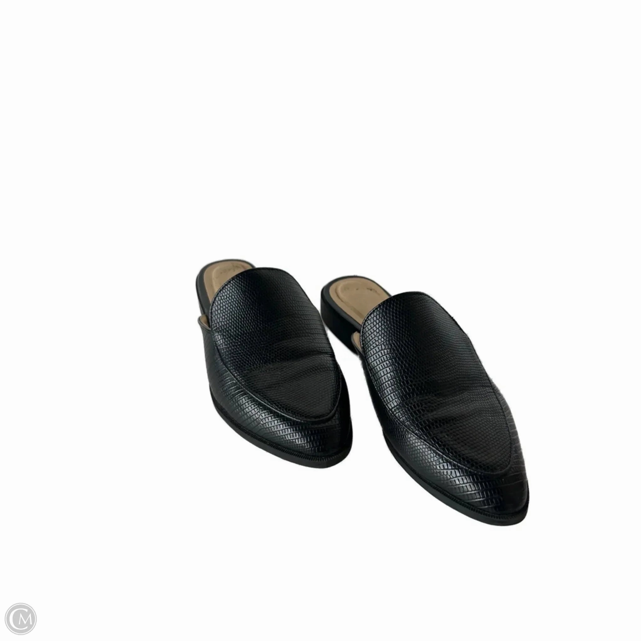 Luxe Wedding Footwear Shoes Heels Block By Chinese Laundry In Black, Size: 7