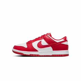 Nike Womens Dunk Low Shoes running in unknown tracks shoes