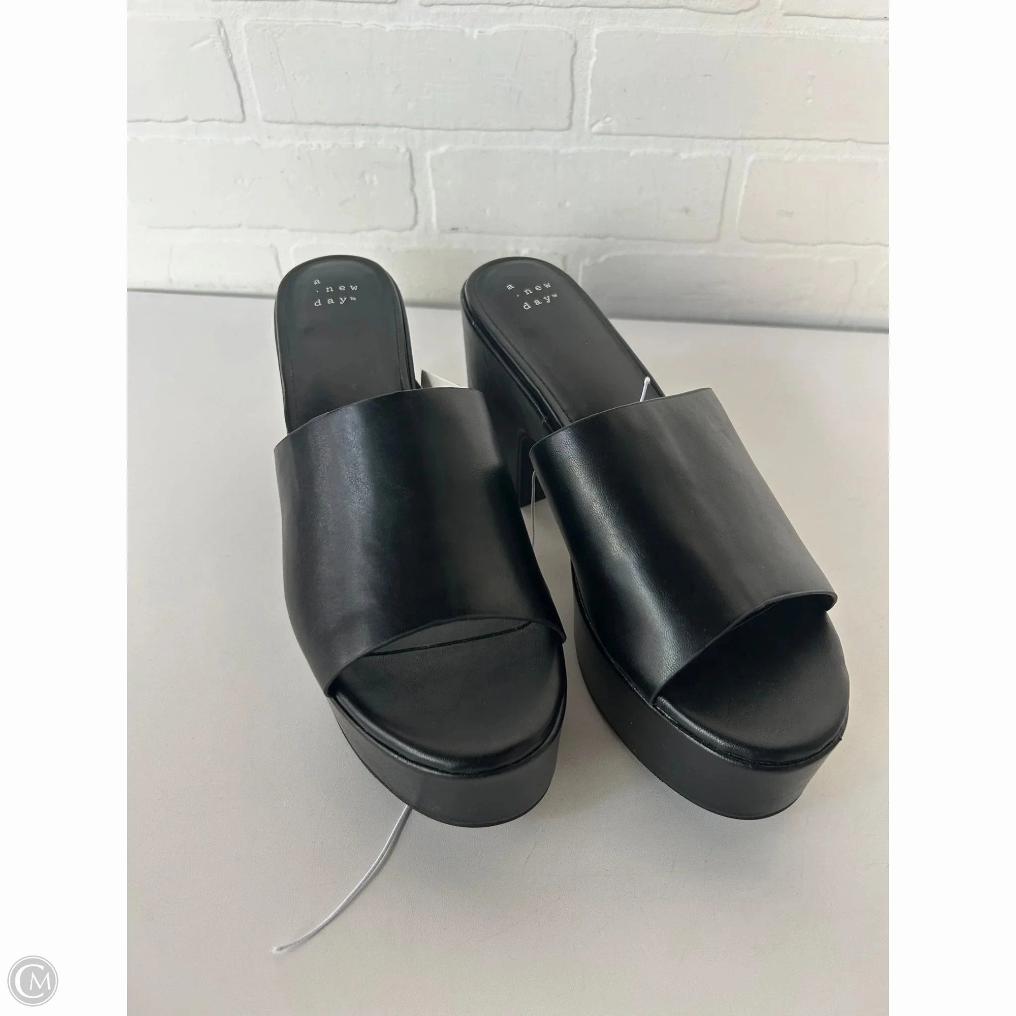 Pointed Toe Shoes Classic Black Heels Shoes Heels Block By A New Day In Black, Size: 10