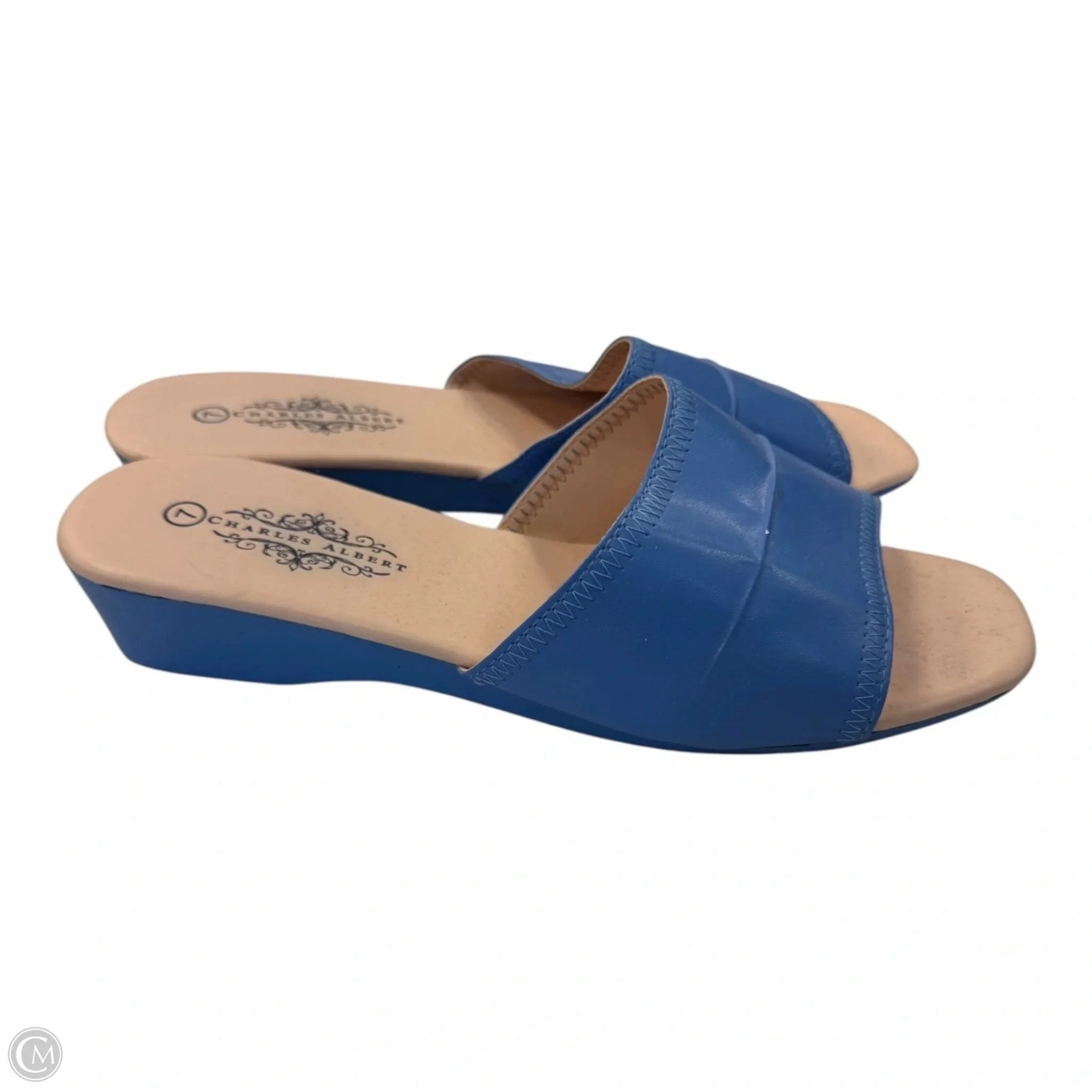 Cute Party Heels Glam Heeled Sandals Shoes Heels Block By Clothes Mentor In Blue, Size: 7