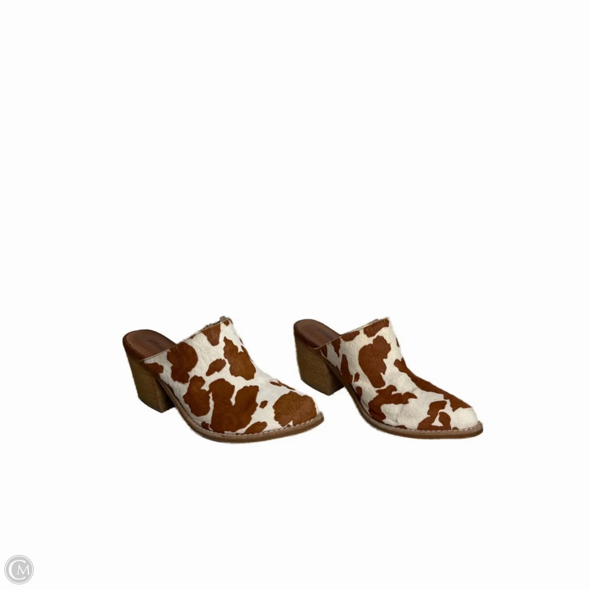 Clear High Heels Shoes Heels Block By Jeffery Campbell In Animal Print, Size: 6.5