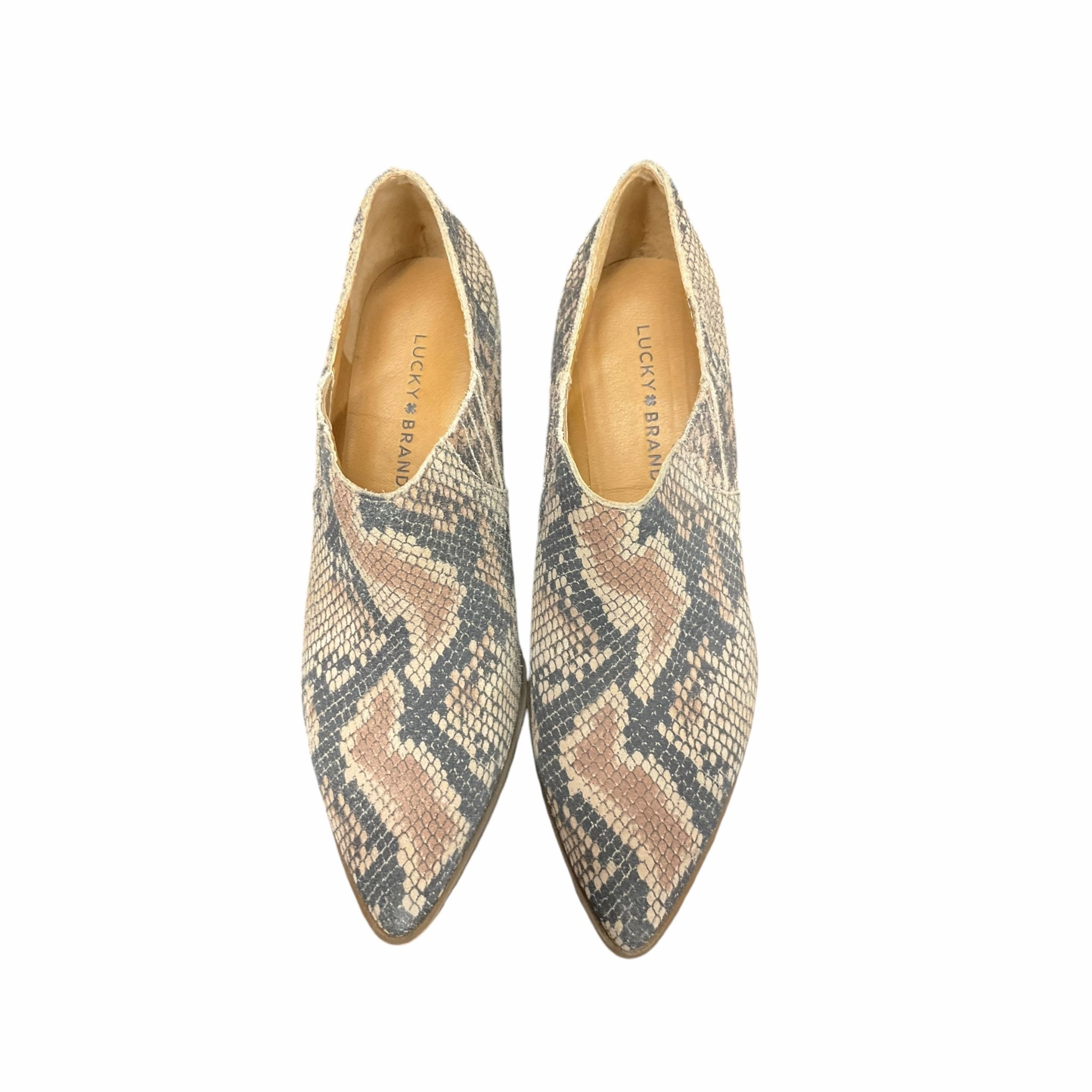 Shoes Heels Block By Lucky Brand In Snakeskin Print, Size: 8 Luxury Dress Shoes