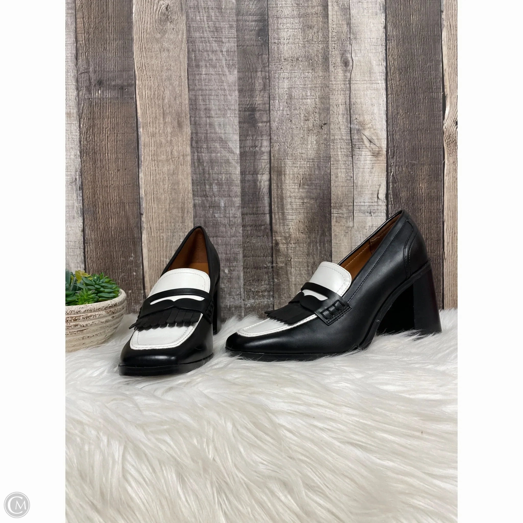 Comfort Fit Shoes Heels Block By Marc Fisher In Black & White, Size: 7