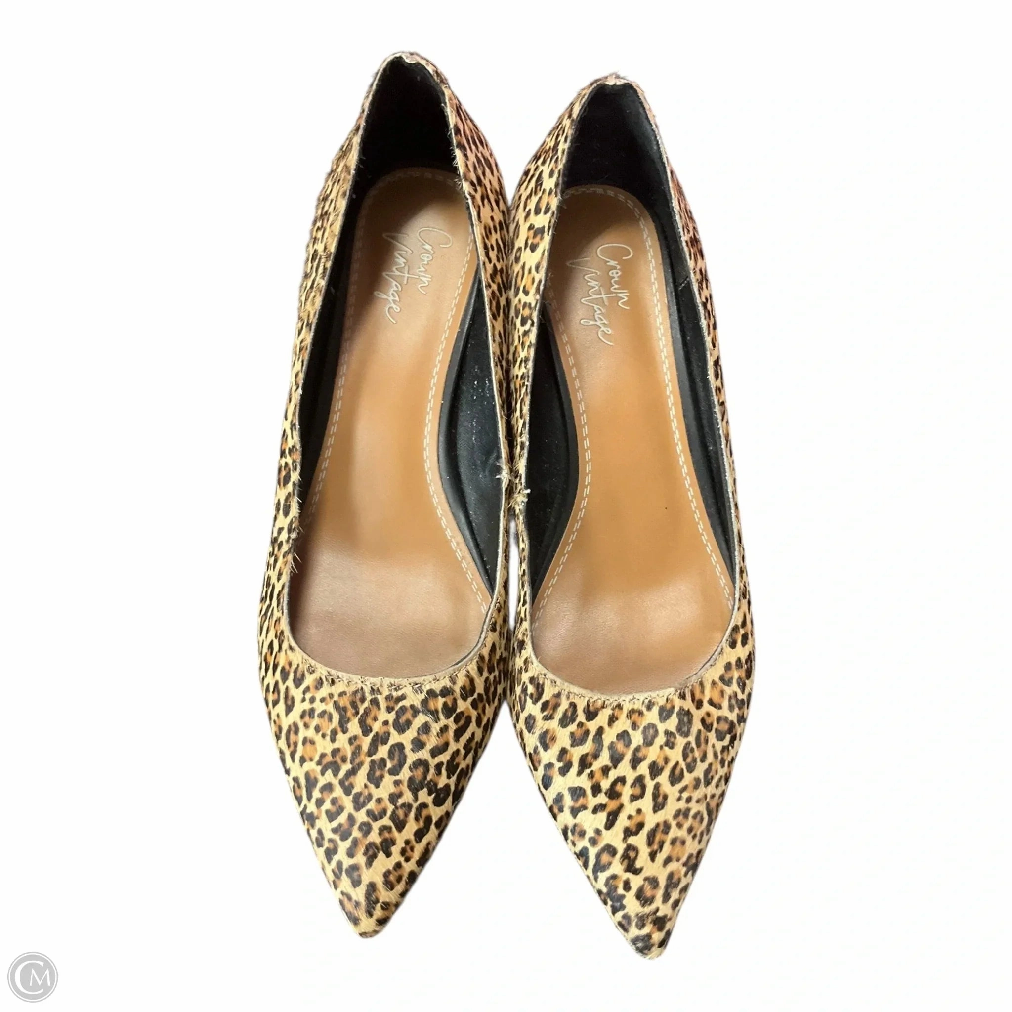 Pointed Pumps Comfortable Dress Shoes Shoes Heels Block By Crown Vintage In Animal Print, Size: 7.5