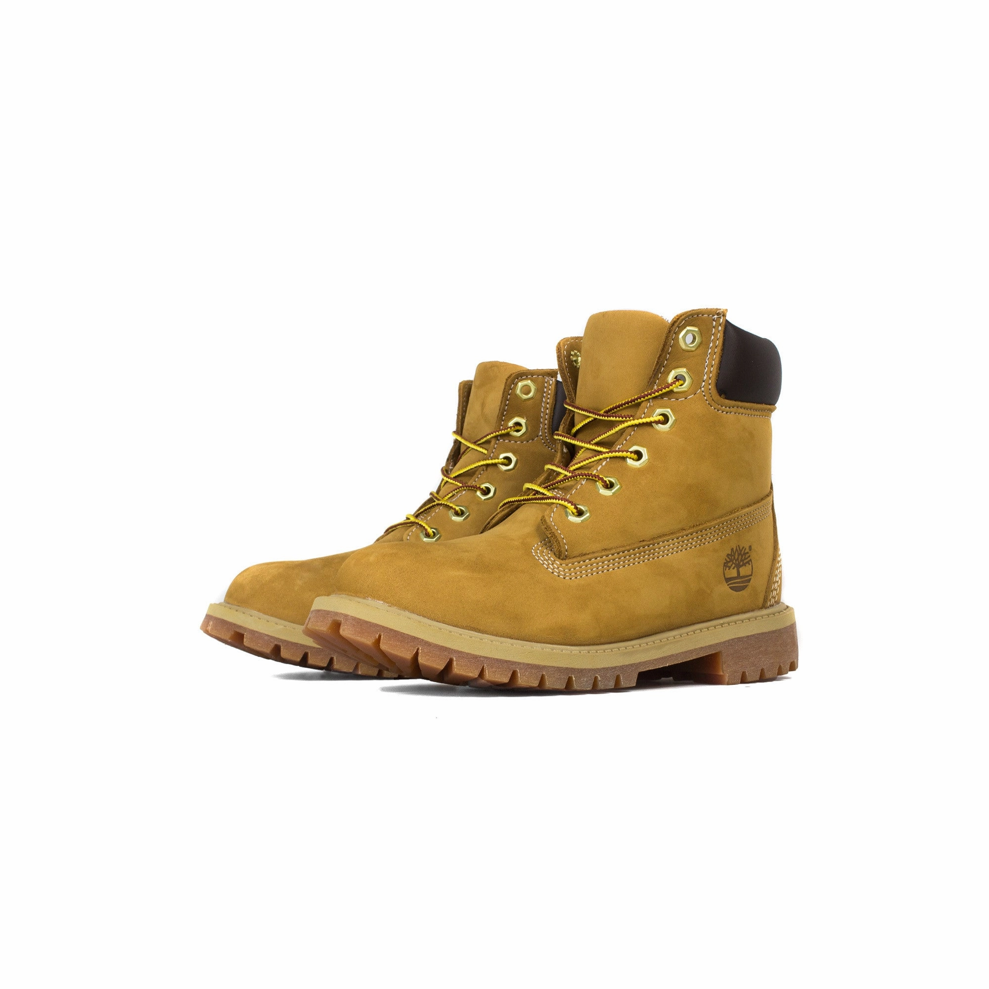 Timberland Kids 6" Premium Waterproof Boots Family Reunion