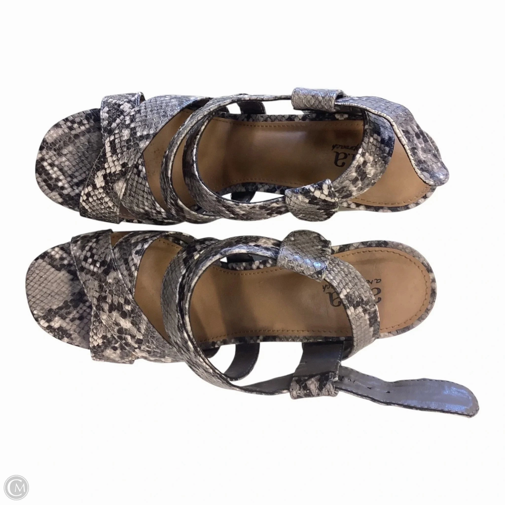 Fashion Footwear Elegant Stiletto Shoes Shoes Heels Block By Ana In Snakeskin Print, Size: 8