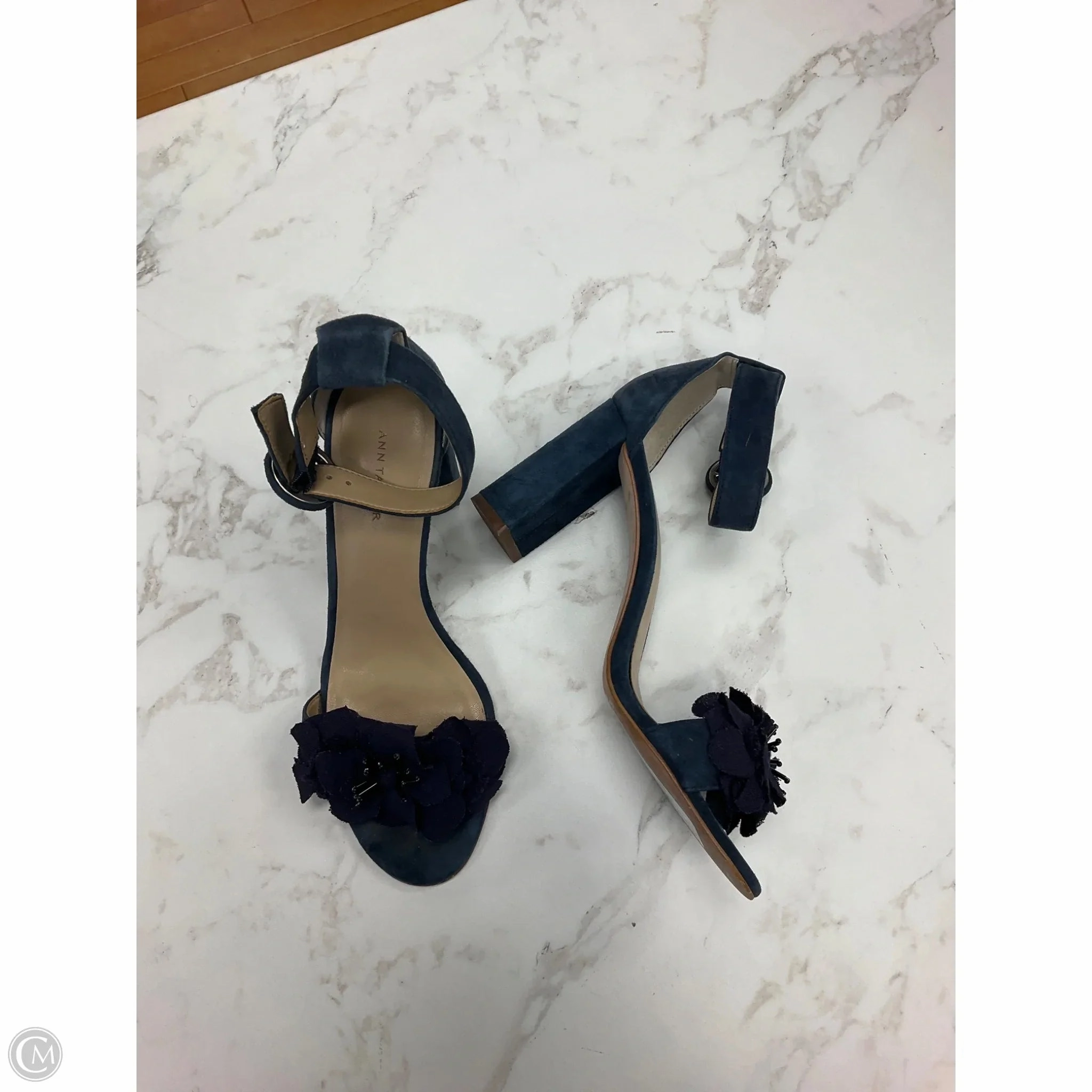 Pointed Heeled Shoes Shoes Heels Block By Ann Taylor In Navy, Size: 6.5